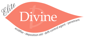 Elite Divine
