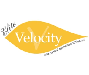 Elite Velocity