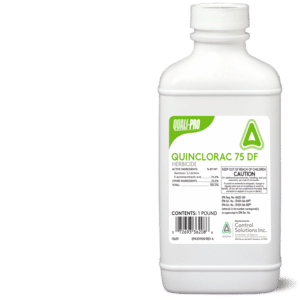 Quinclorac 75 DF
