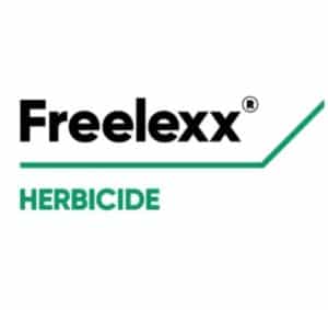 freelexx img
